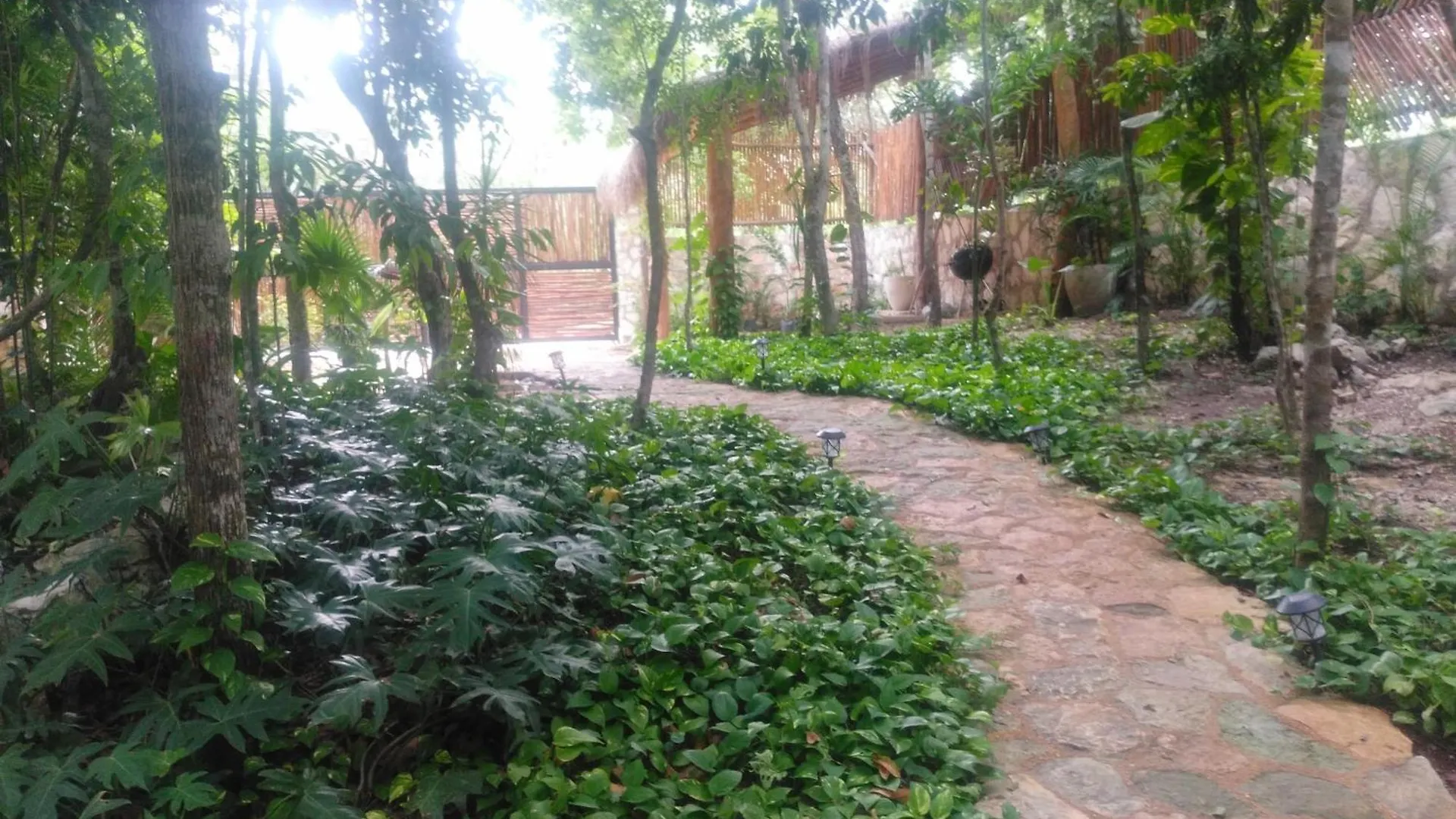 Villa Cielo Nuevo Francisco Uh May Meksika